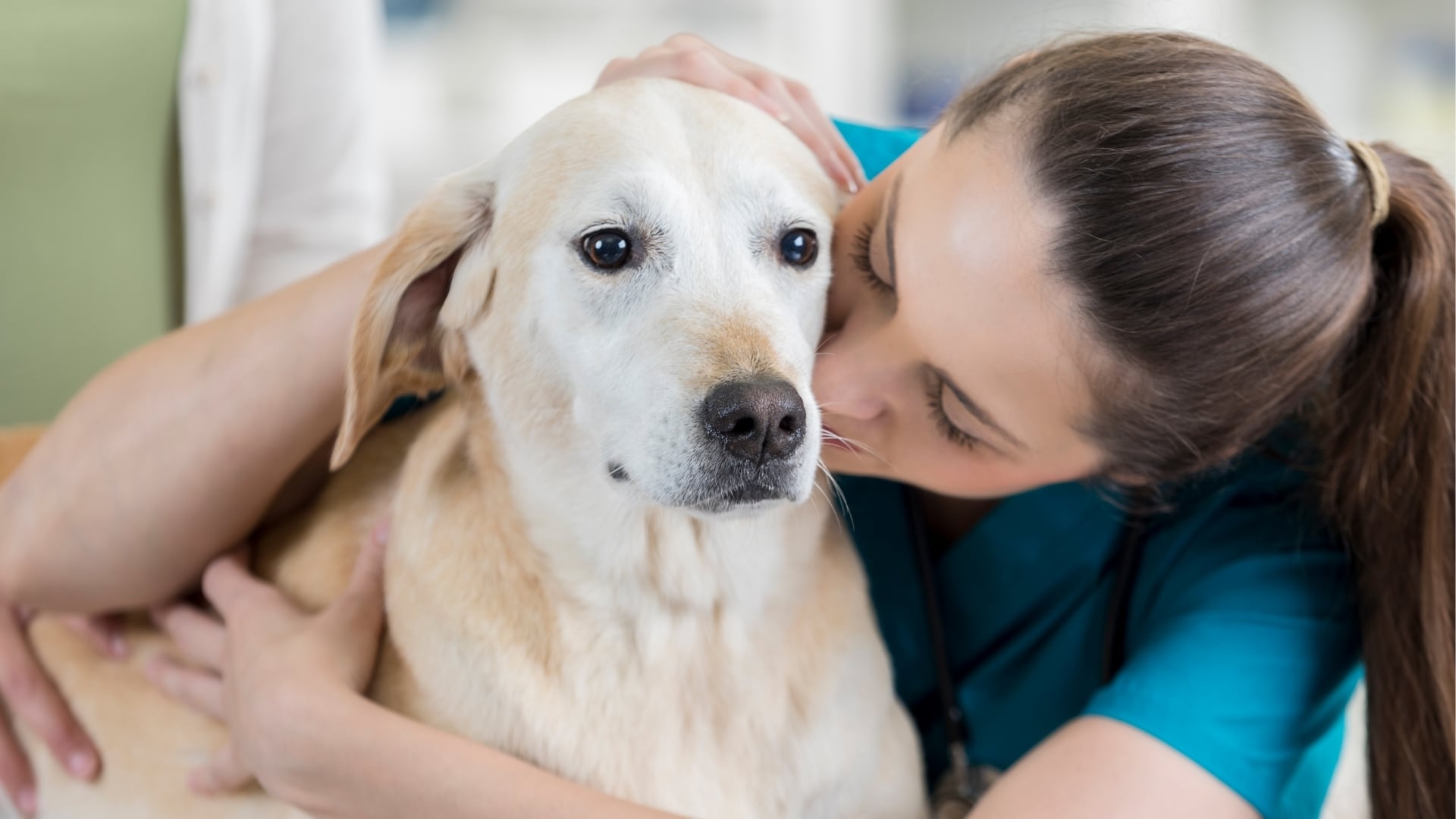 Vet lady kisses dog