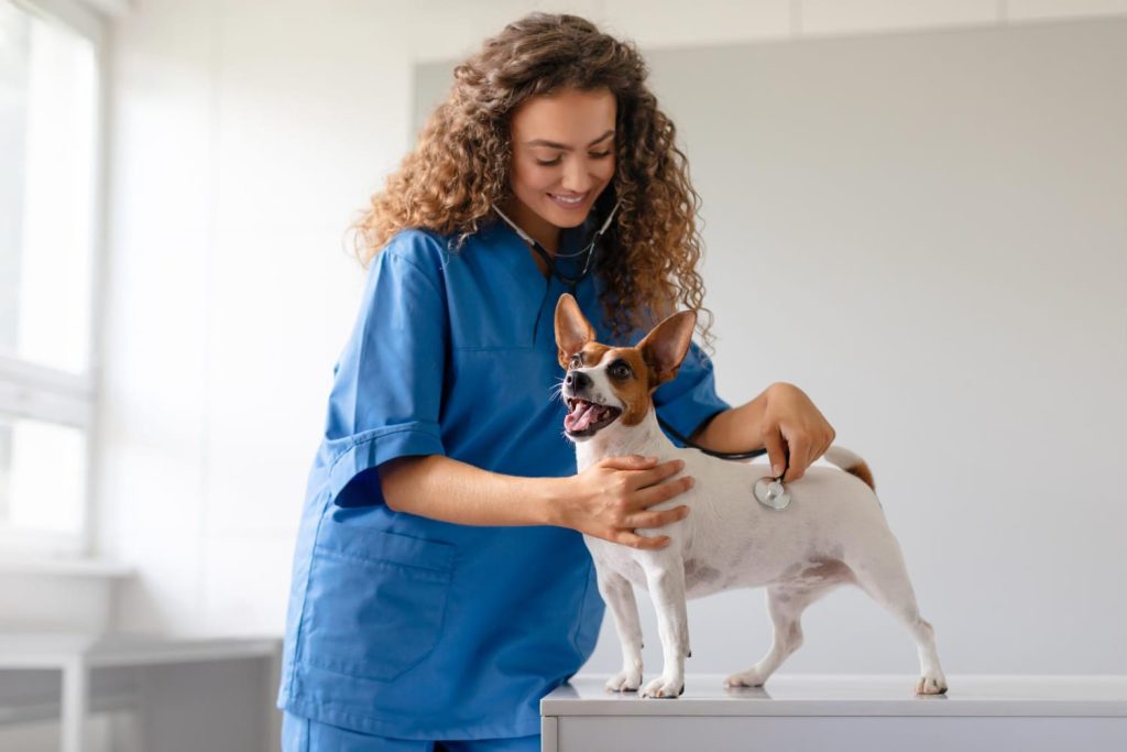 Collaboration with veterinarians